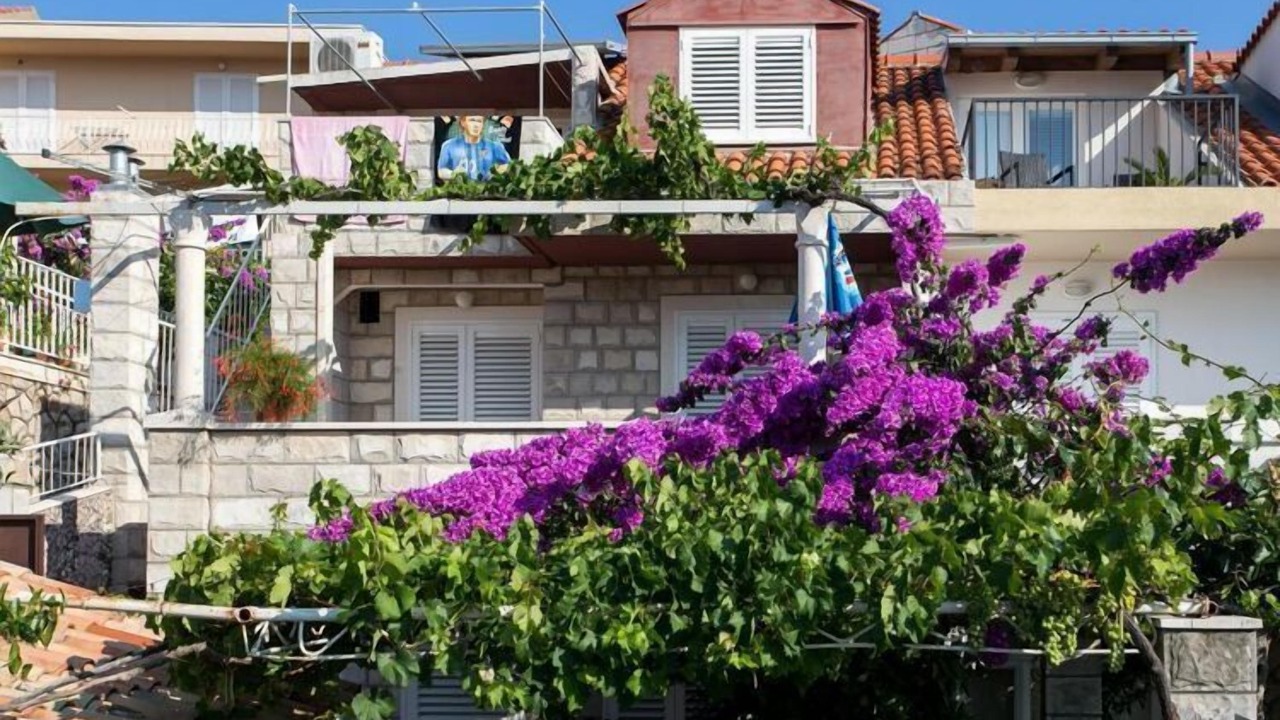 Photo of Outdoor in Babin Kuk