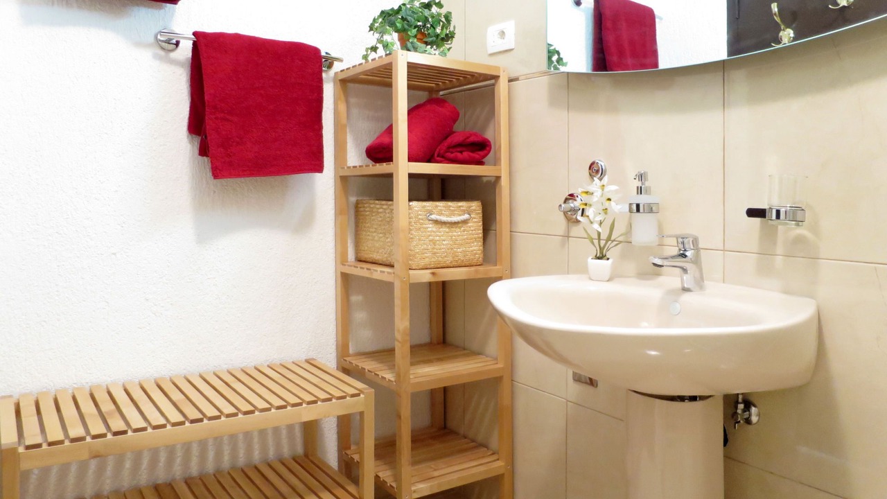 Photo of Bathroom in Medveja