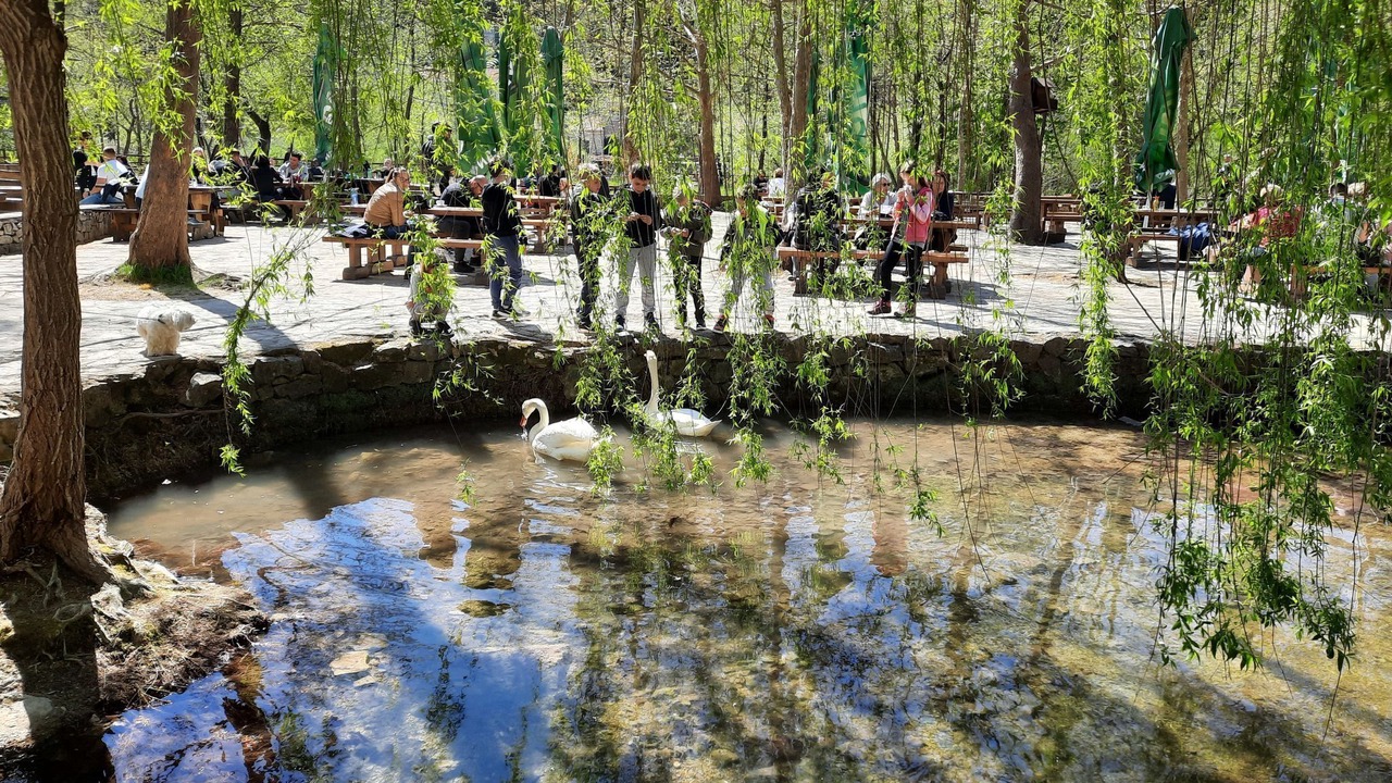 Photo of Others in Grebastica