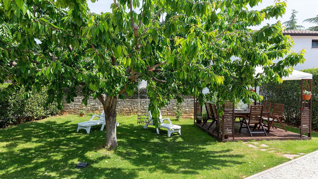 Photo of Outdoor in Frata