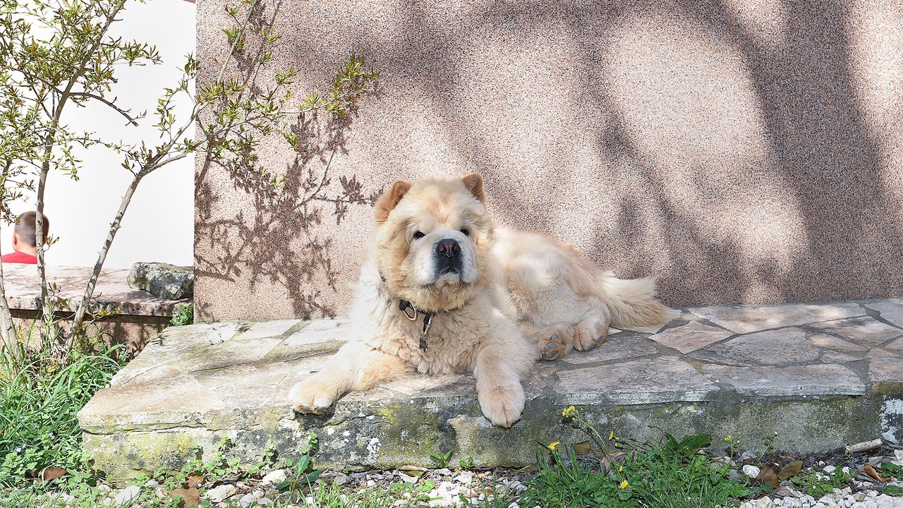 Photo of Outdoor in Pomer