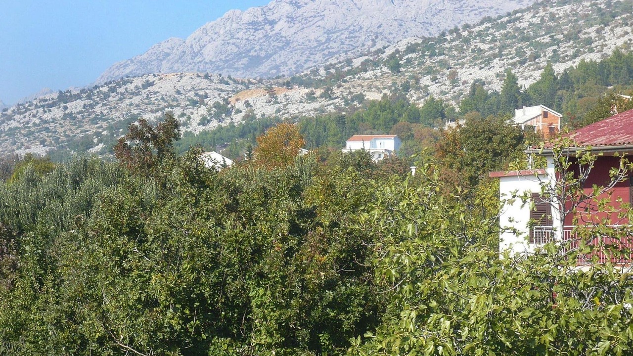 Photo of Others in Starigrad