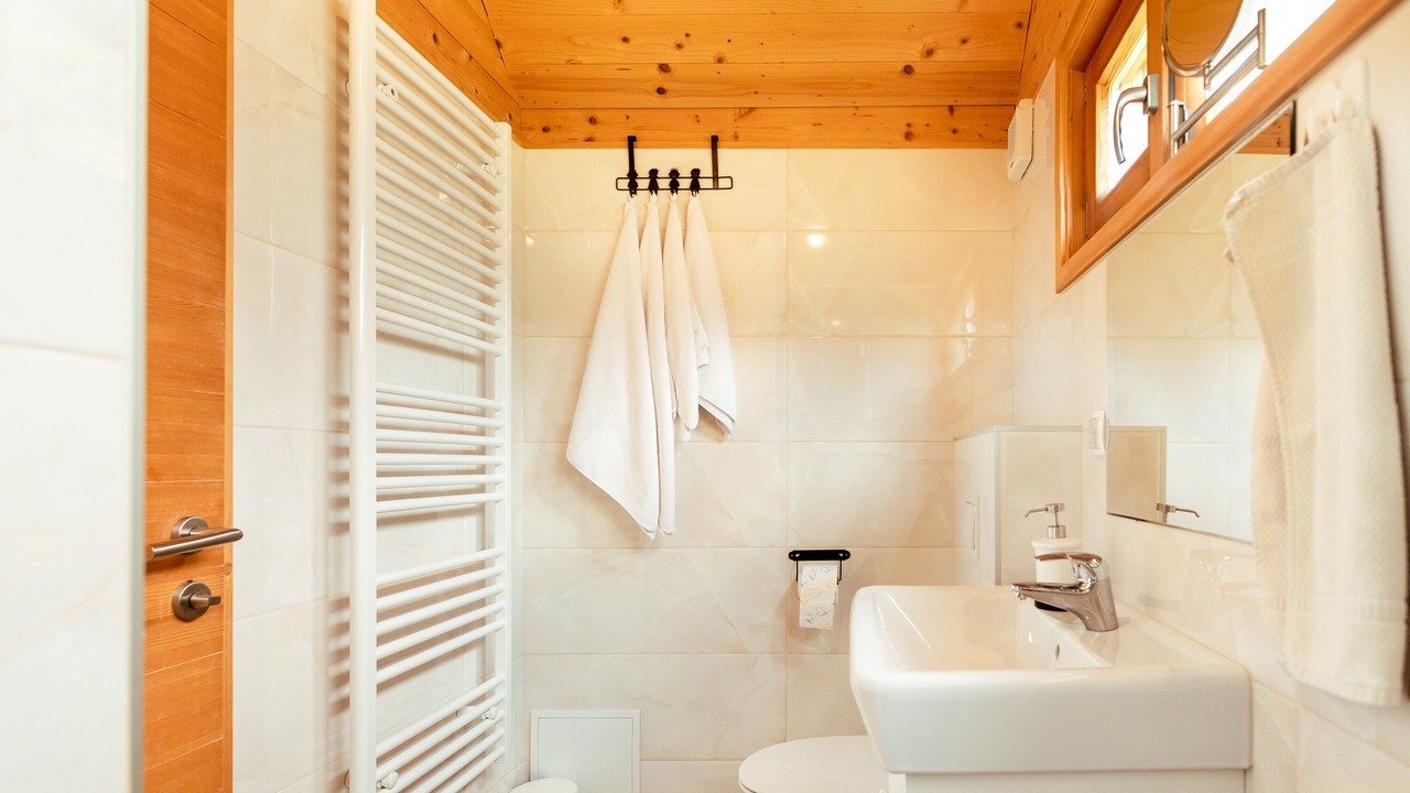 Photo of Bathroom in Trzic