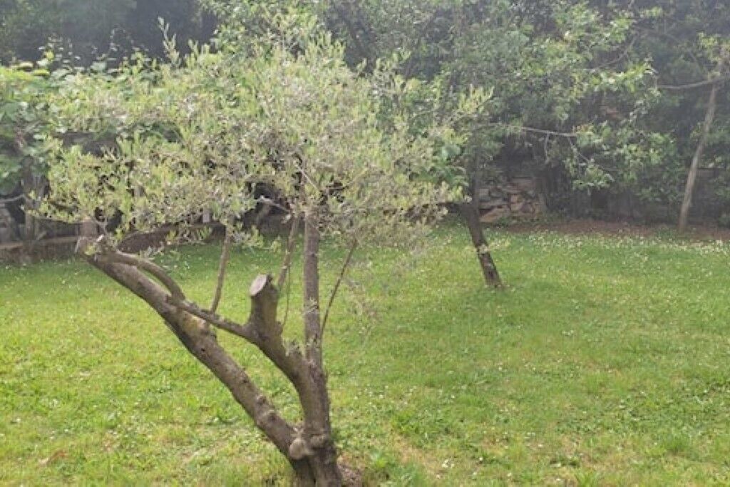 Photo of Outdoor in Opric