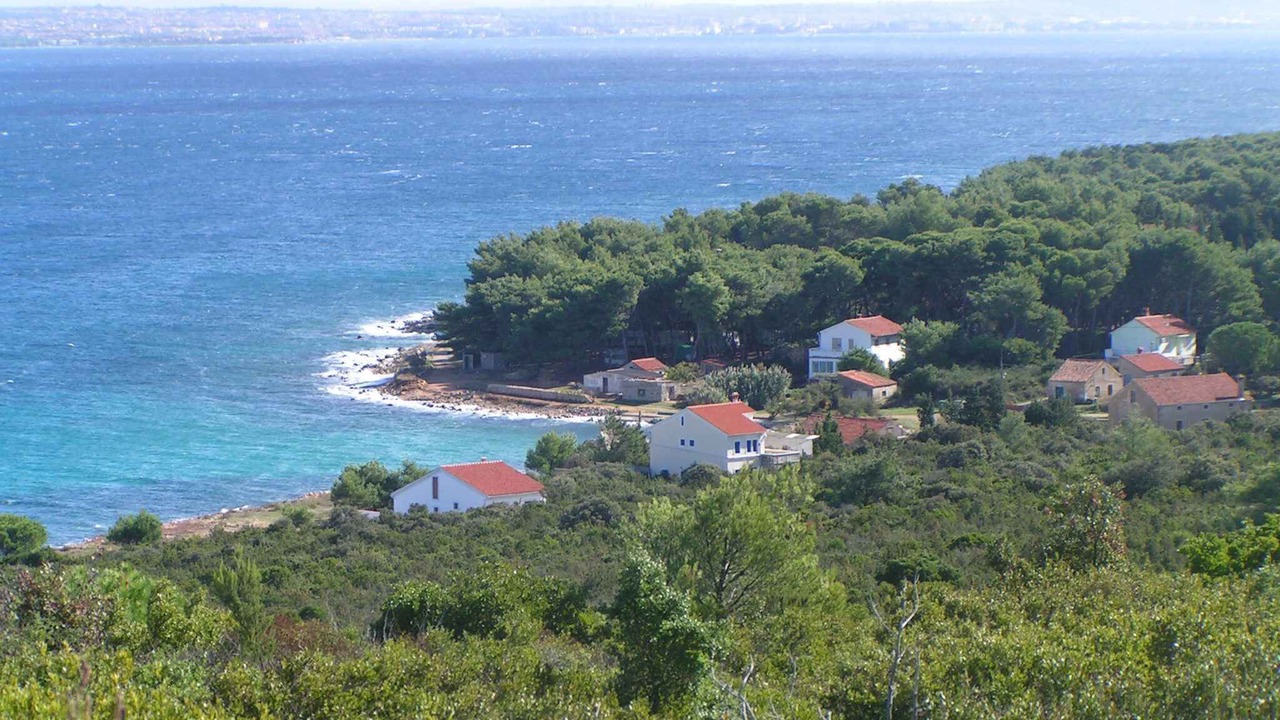 Photo of Others in Muline