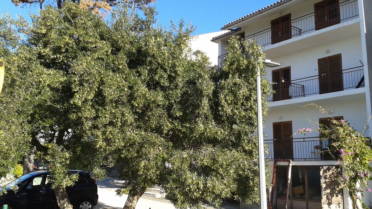 Photo of Outdoor in Brela