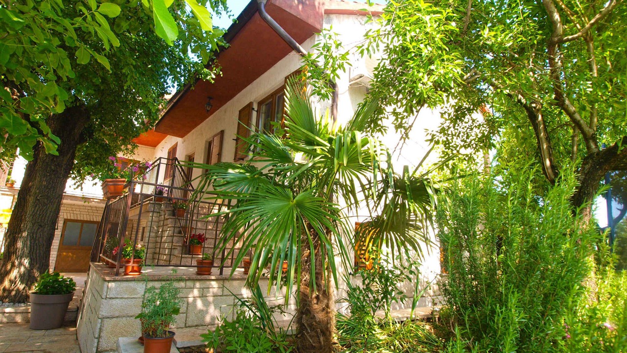 Photo of Outdoor in Matohanci