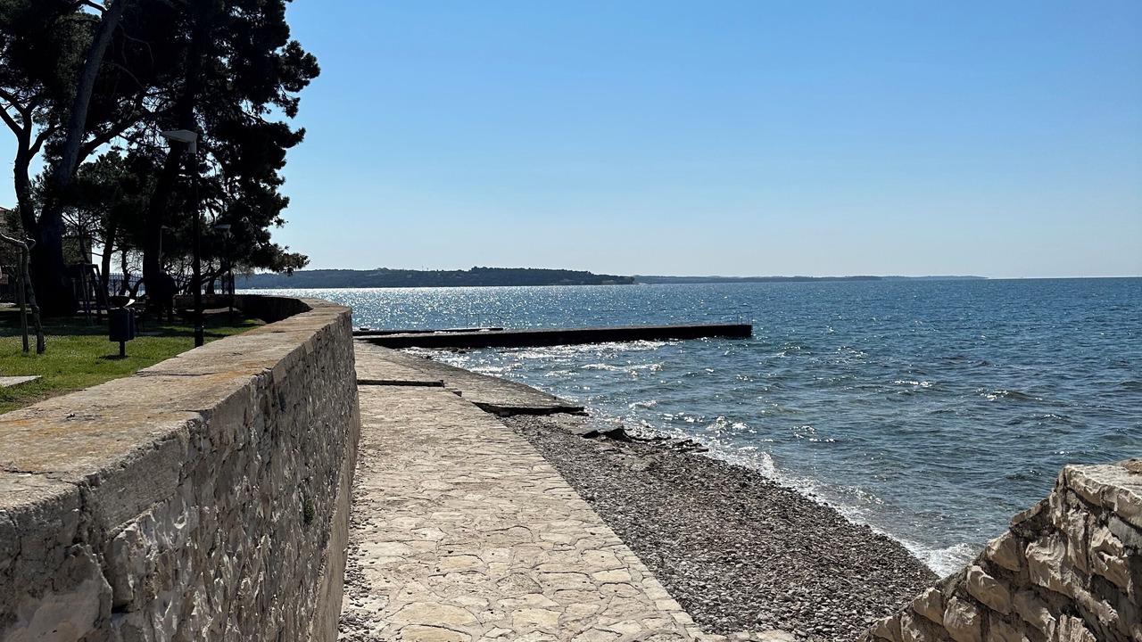 Photo of Others in Novigrad