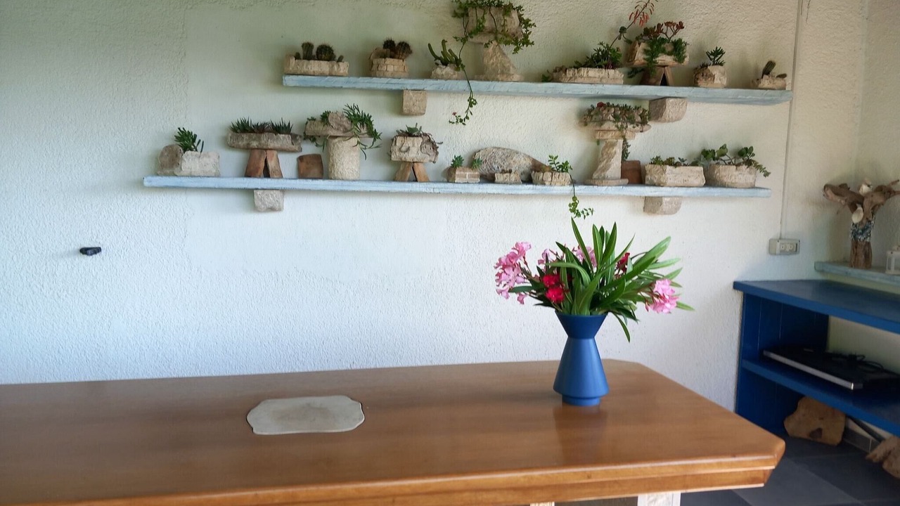 Photo of Livingroom in Supetarska Draga