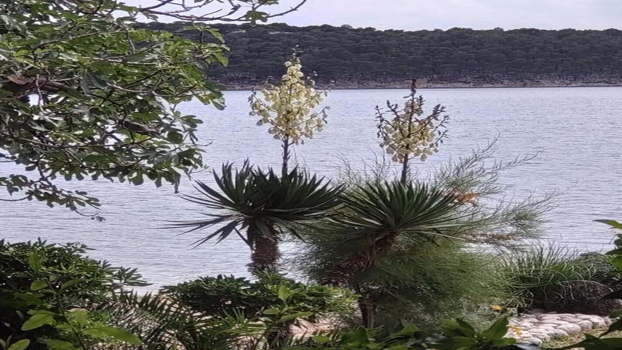 Photo of Others in Banjol