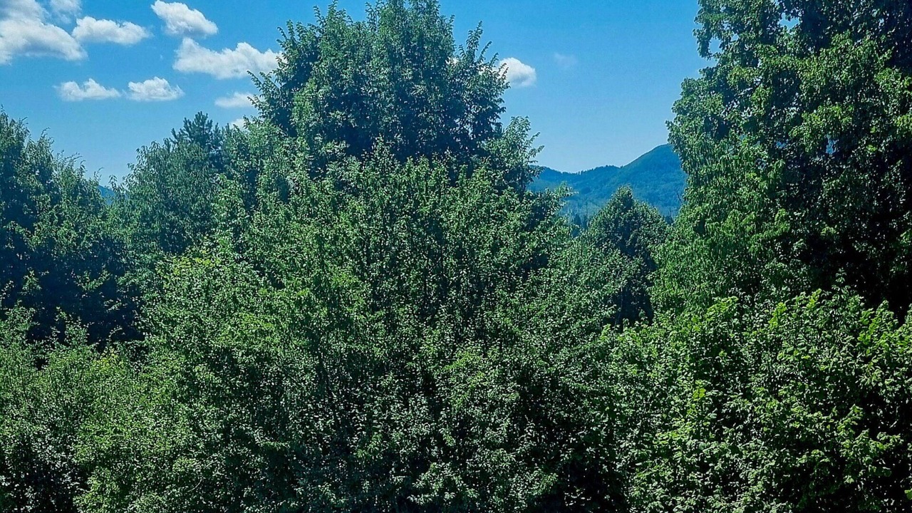 Photo of Others in Brod Moravice