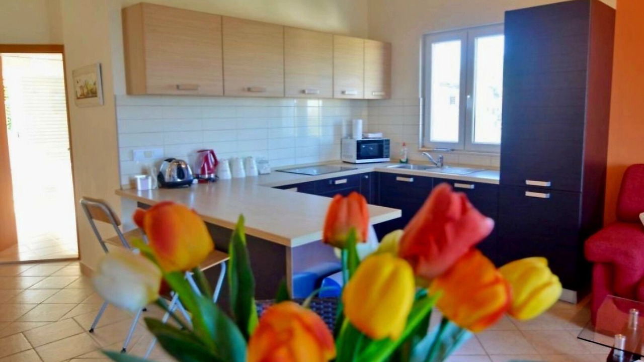 Photo of Kitchen in Cavtat