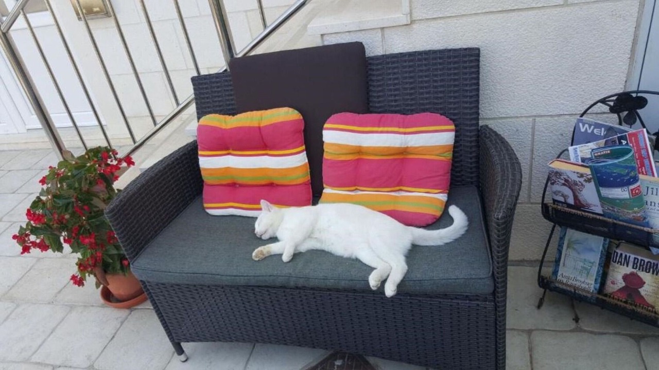 Photo of Outdoor in Babin Kuk