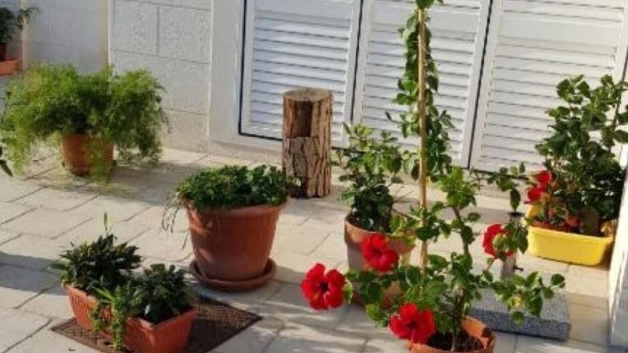 Photo of Outdoor in Babin Kuk
