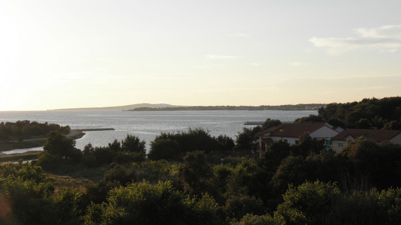 Photo of Others in Zaton