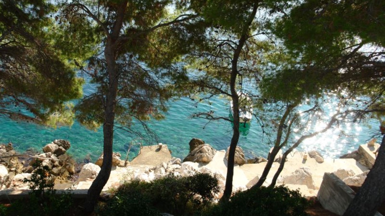 Photo of Outdoor in Prizba