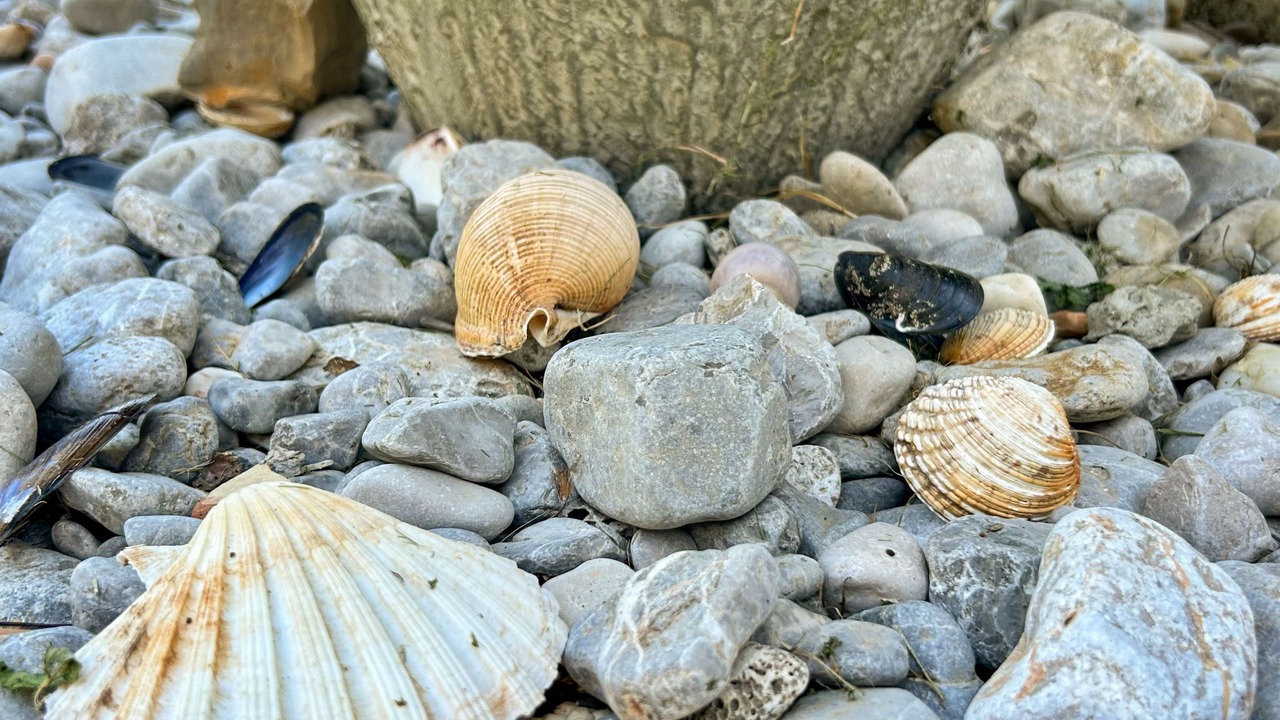 Photo of Others in Opric