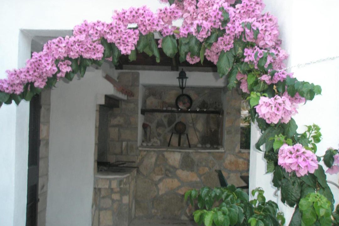 Photo of Others in Medvinjak