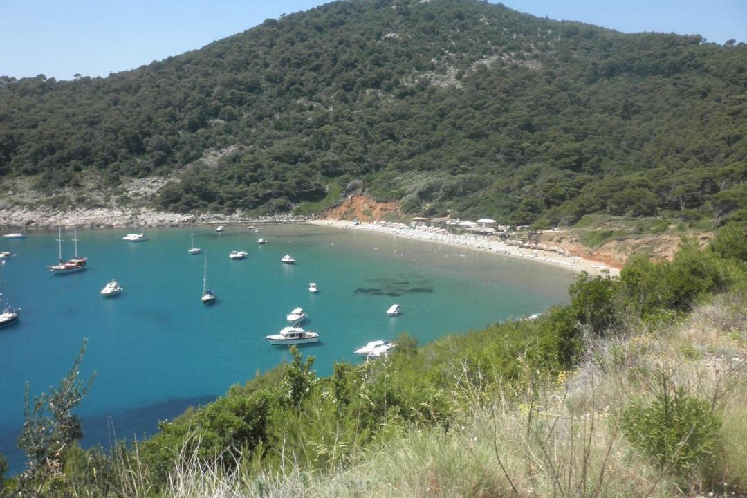 Photo of Others in Lopud Island