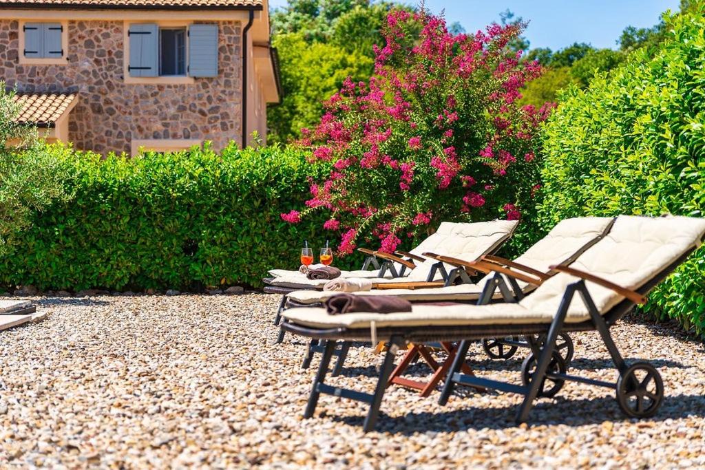 Photo of Others in Risika