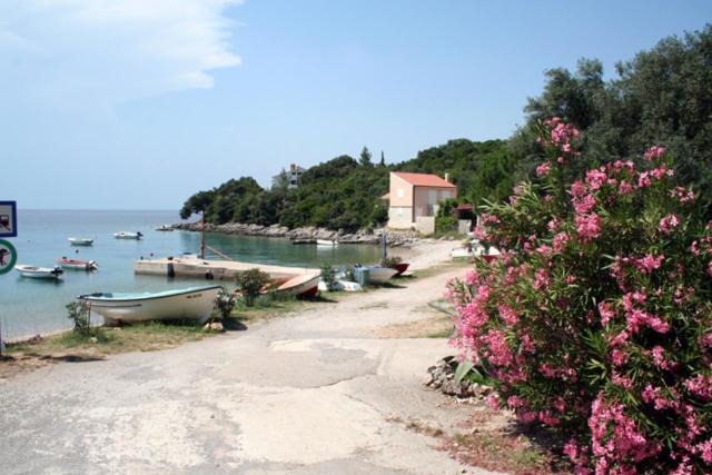 Photo of Others in Sveti Jakov