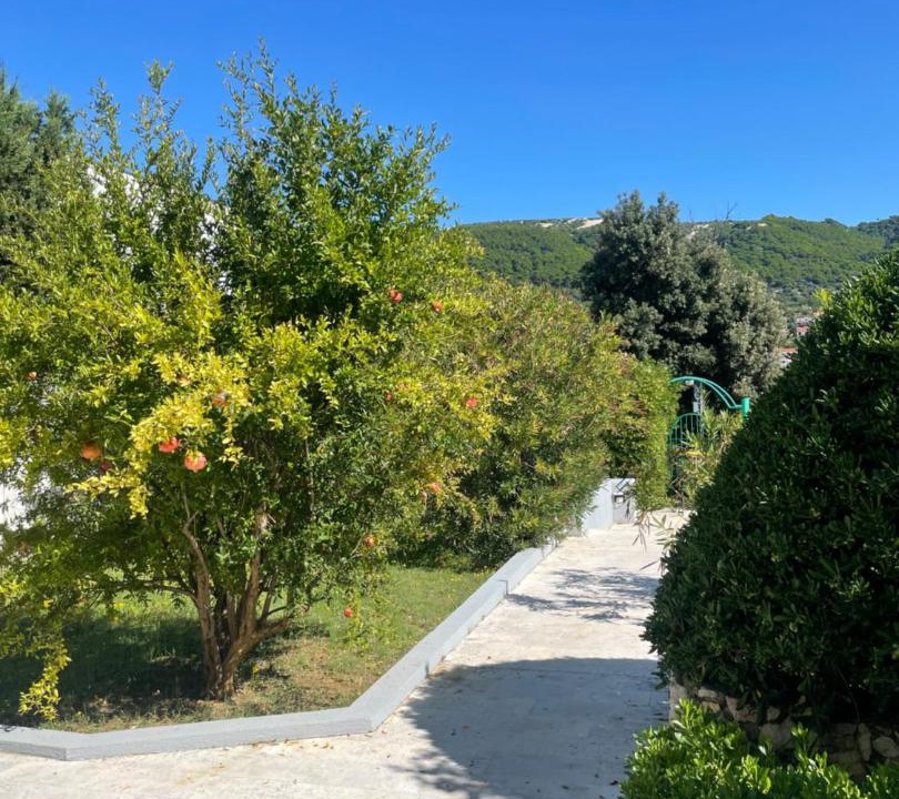 Photo of Outdoor in Banjol