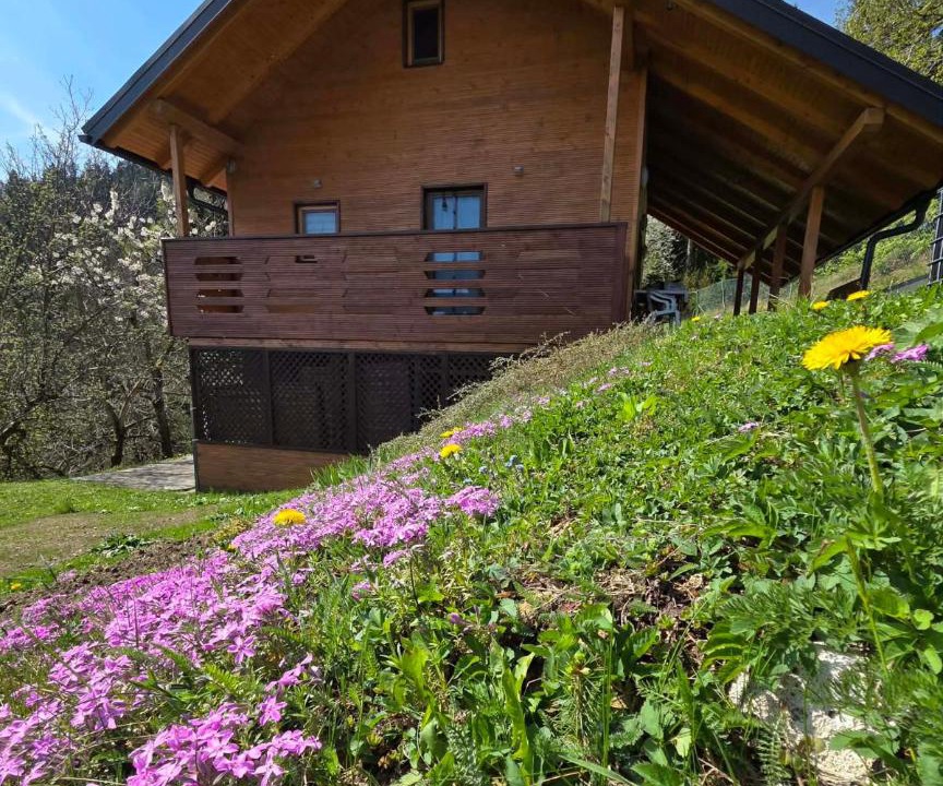 Photo of Others in Slovenj Gradec