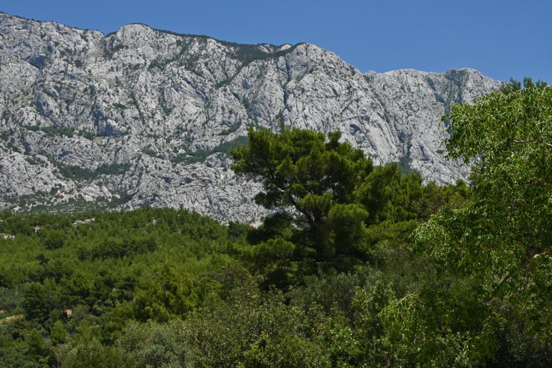 Photo of Others in Krvavica