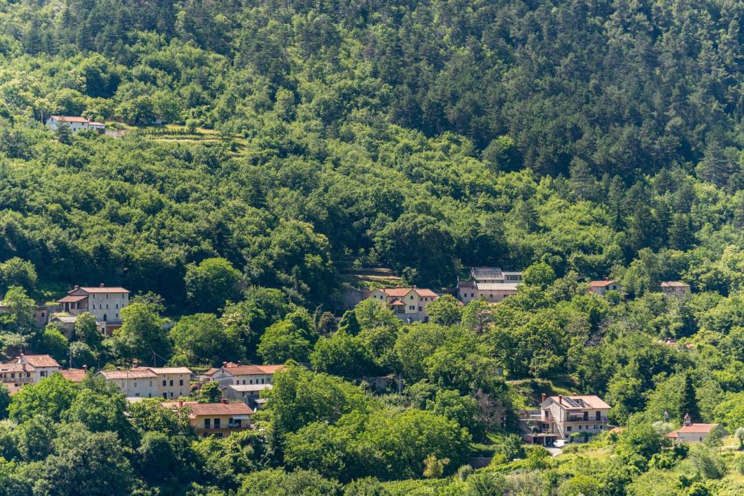 Photo of Others in Lovran