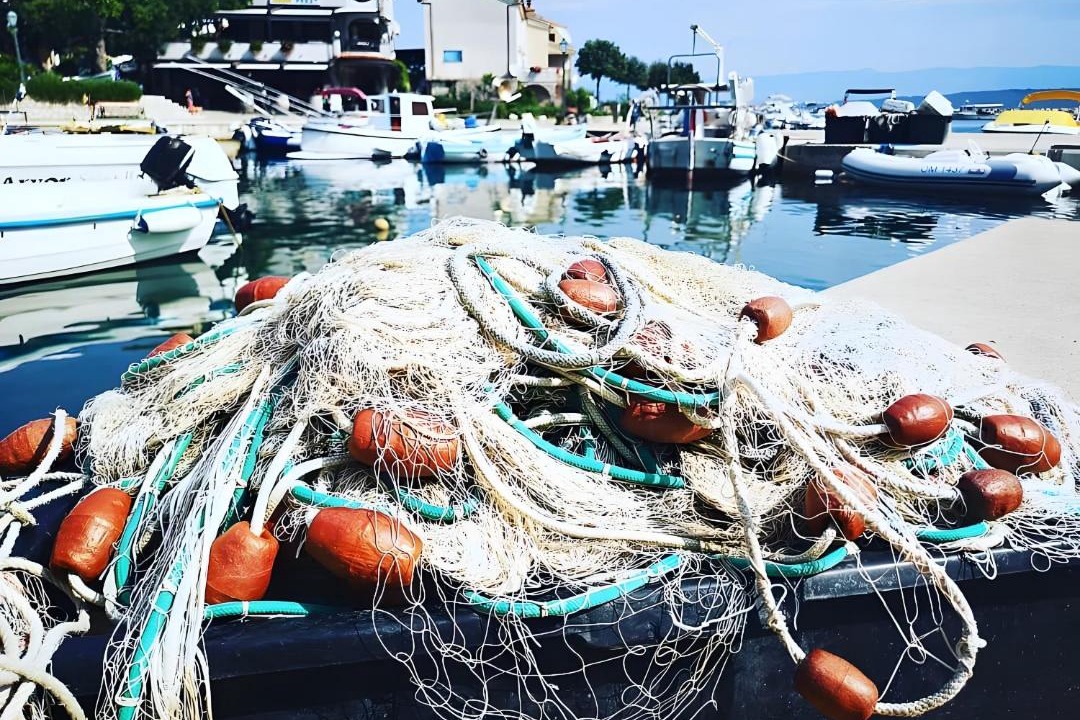 Photo of Others in Porat