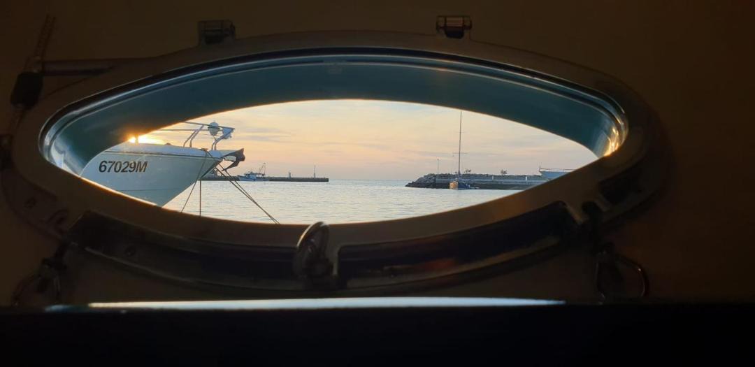 Photo of Others in Novigrad