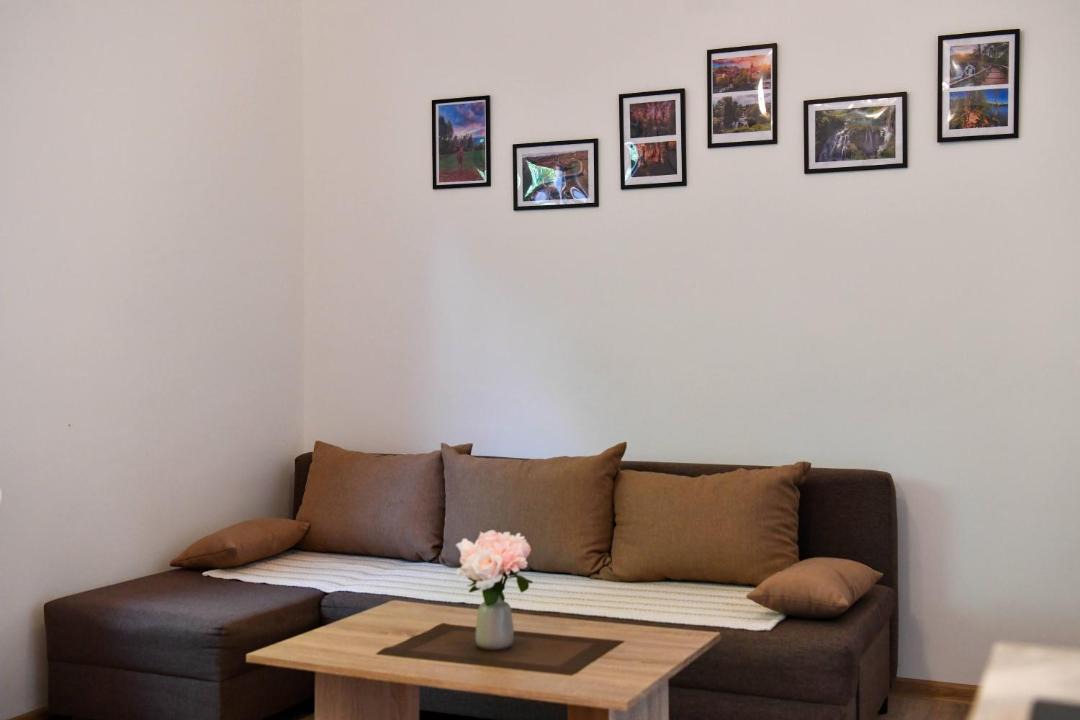 Photo of Livingroom in Irinovac