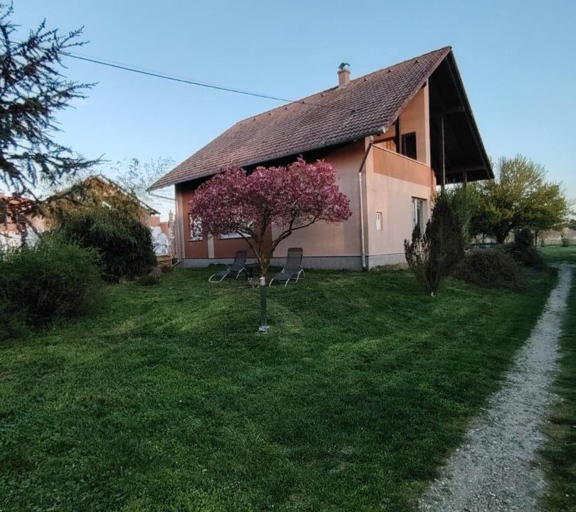 Photo of Others in Belica