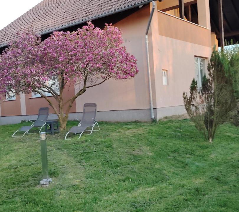 Photo of Others in Belica