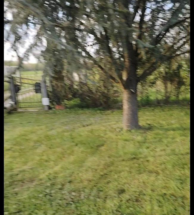 Photo of Others in Belica