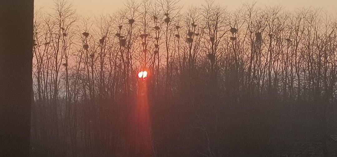 Photo of Others in Belica