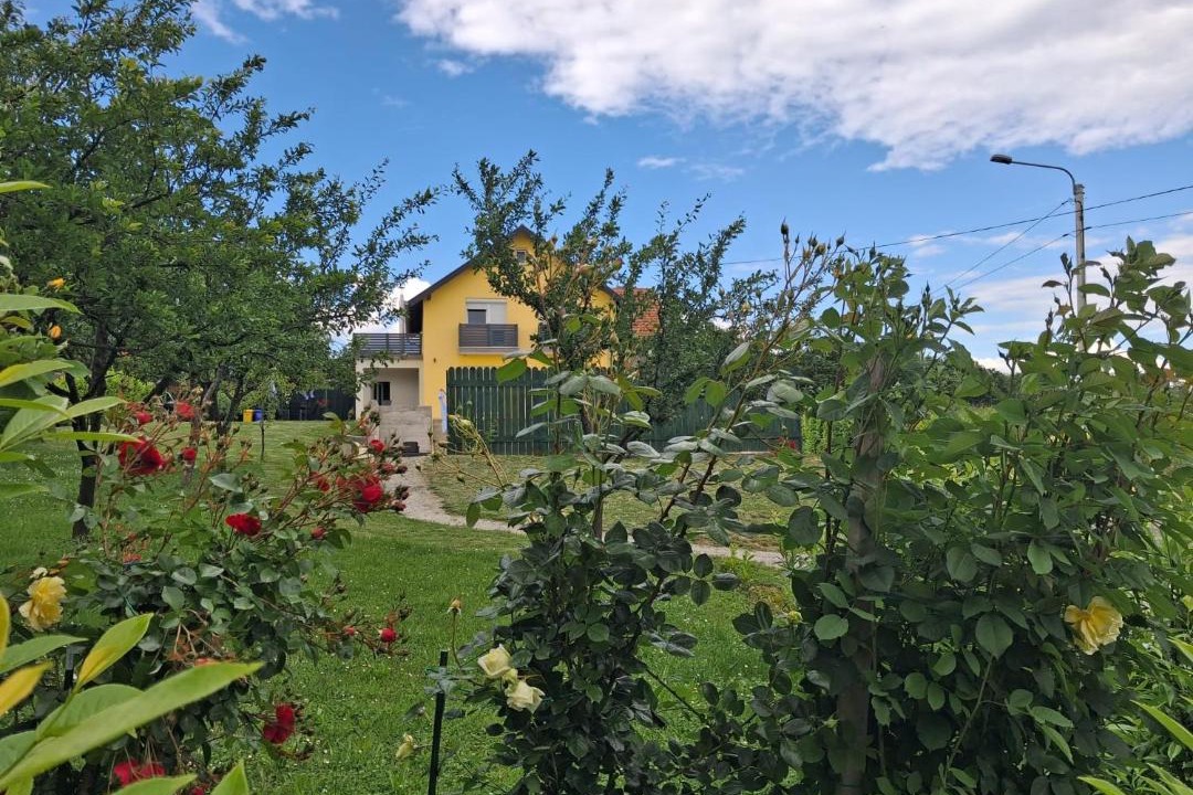 Photo of Others in Bukovlje