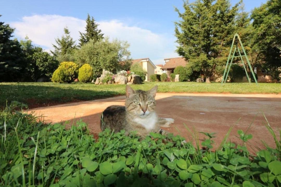 Photo of Others in Vrvari