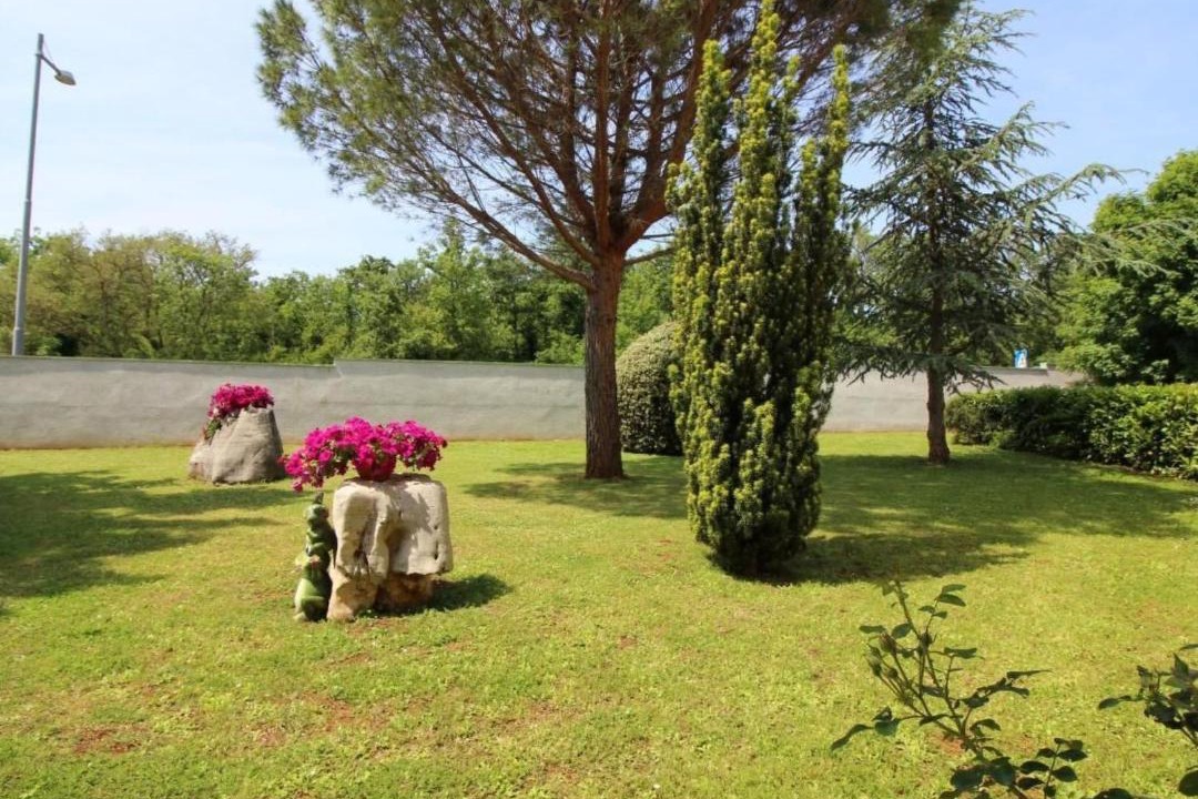 Photo of Others in Vrvari