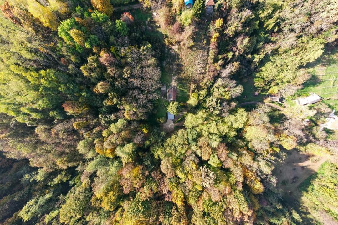 Photo of Human In Picture in Koprivnica