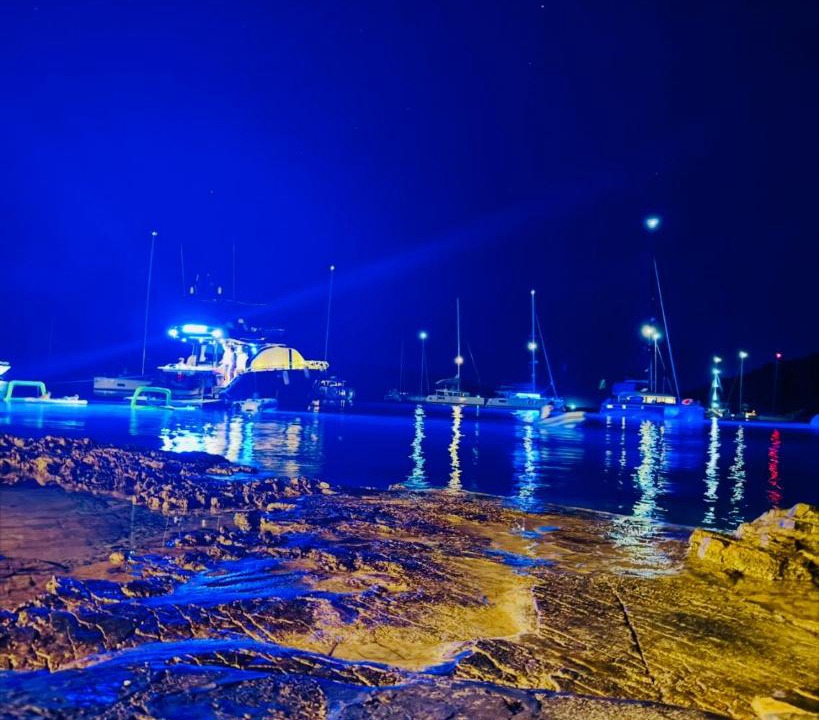 Photo of Others in Cove Osibova (Milna)