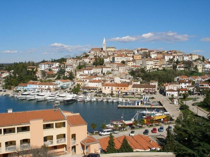 Photo of Others in Vrsar