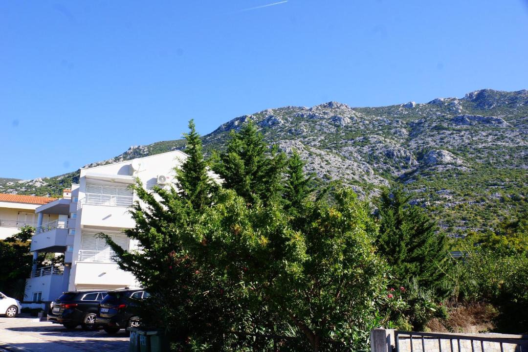 Photo of Others in Ribarica