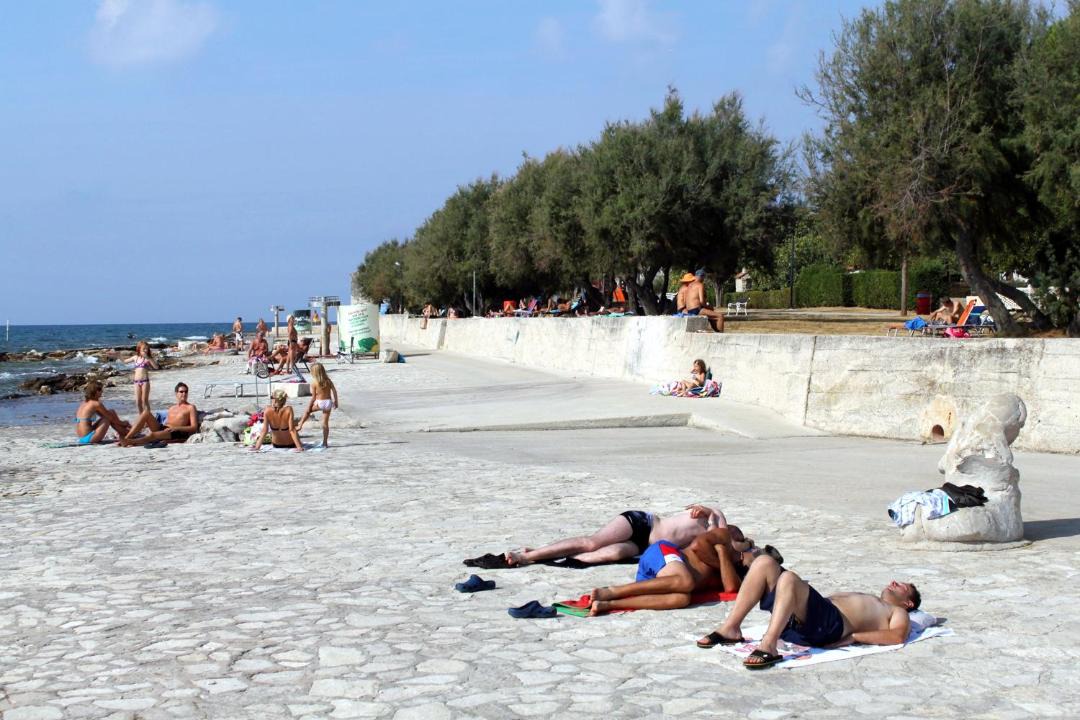 Photo of Others in Novigrad