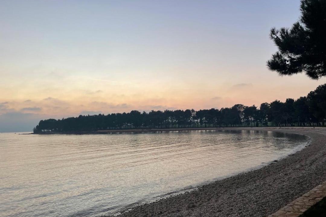 Photo of Others in Novigrad