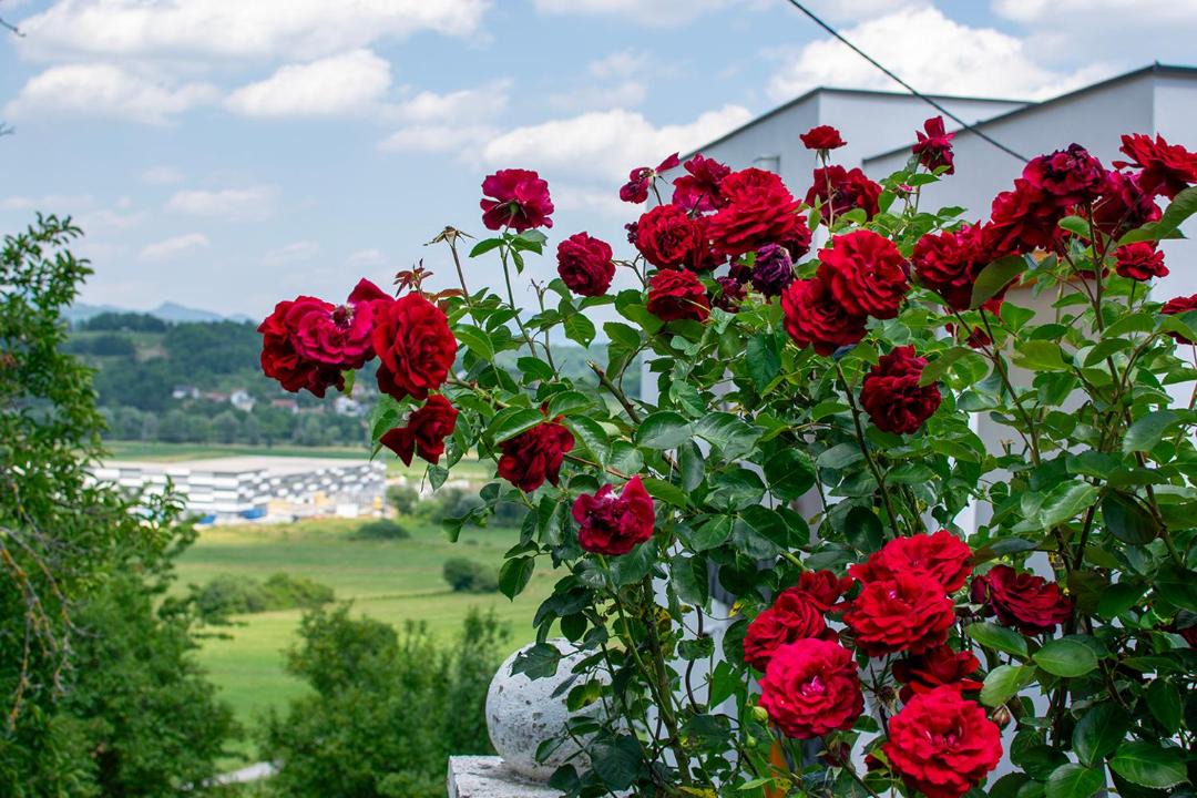 Photo of Others in Krapina