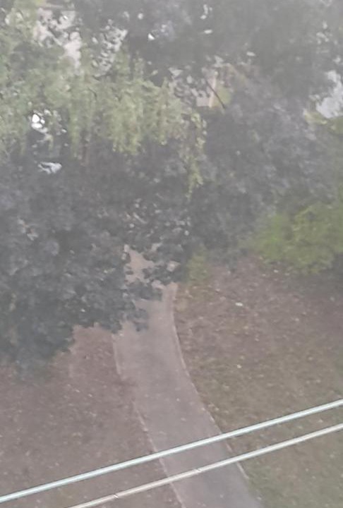 Photo of Others in Novi Zagreb