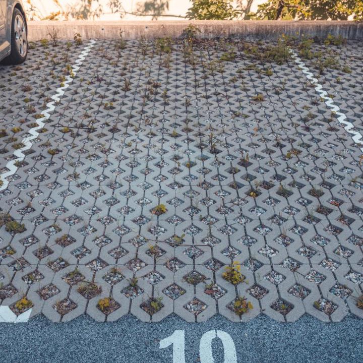 Photo of Others in Maribor