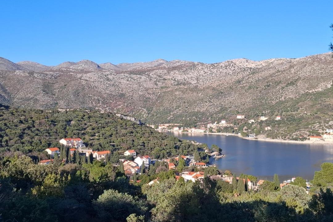 Photo of Others in Zaton