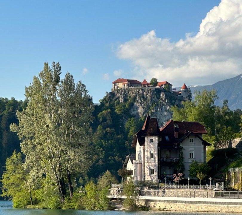 Photo of Others in Bled